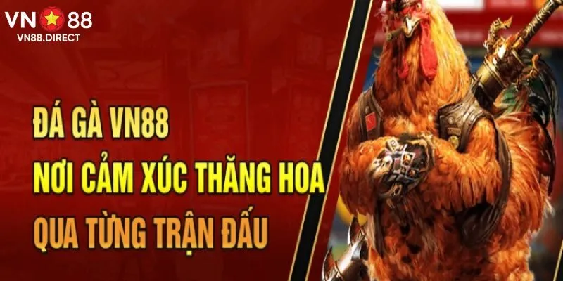 Đá gà online chính là sảnh cá cược siêu cuốn hút 