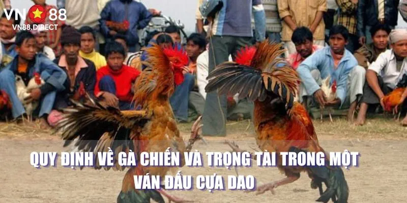 Quy định về gà chiến và trọng tài trong một ván đấu cựa dao